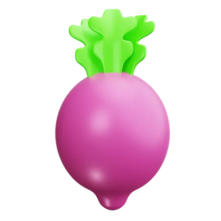 Radish  3D Icon