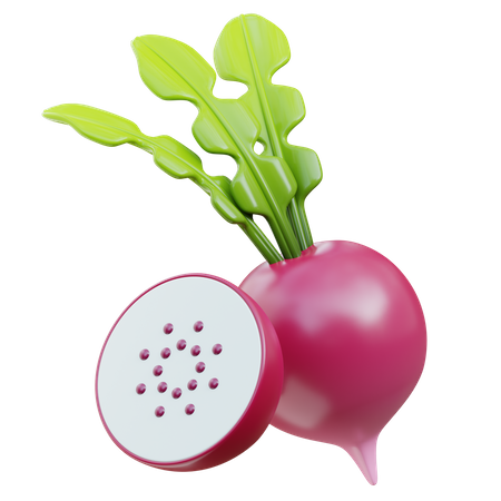 Radish  3D Icon