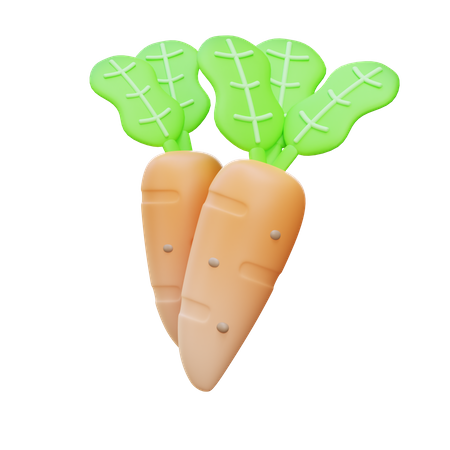 Radish  3D Icon