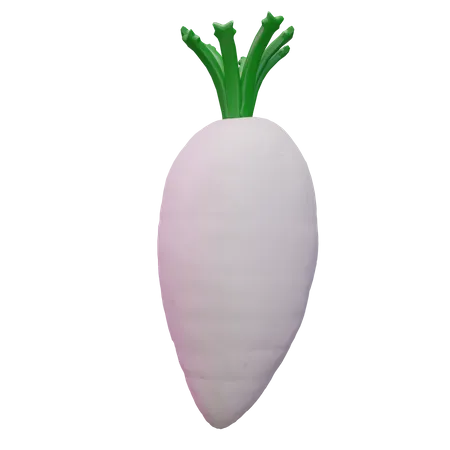 Radish  3D Icon