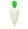 Radish