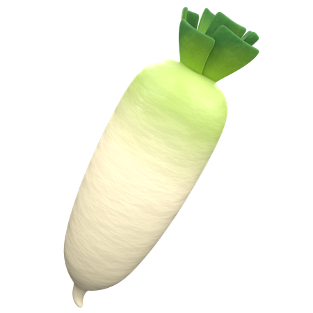 Radish  3D Icon