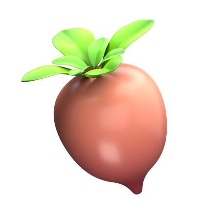 Radish  3D Icon