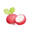 Radish