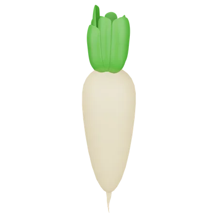 Radish  3D Icon