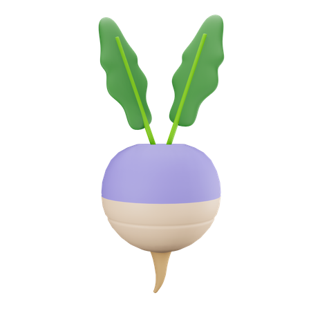 Radish  3D Illustration