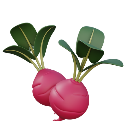 Radishes  3D Icon