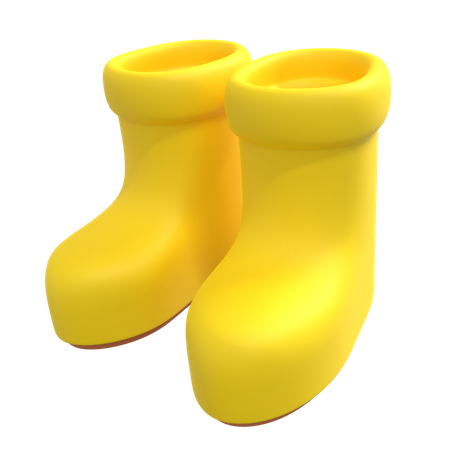 Rain Shoes  3D Illustration