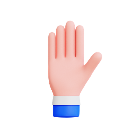 Raised Hand  3D Icon