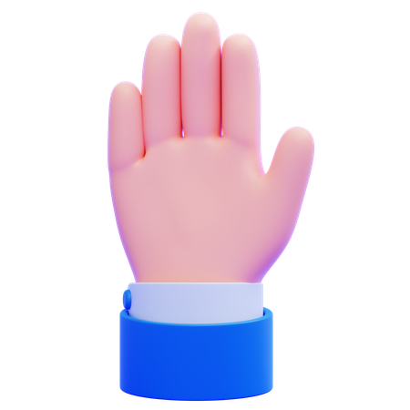 Raised Hand  3D Icon