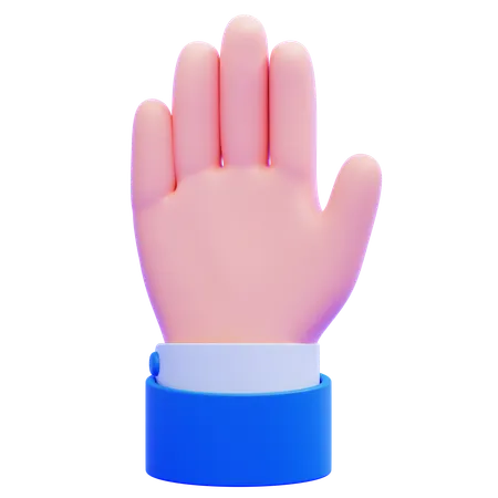 Raised Hand  3D Icon