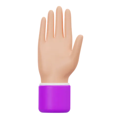 Raised Hand  3D Icon