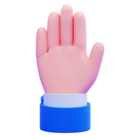 Raised Hand  3D Icon