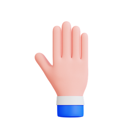 Raised Hand  3D Icon