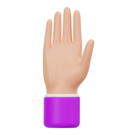 Raised Hand  3D Icon