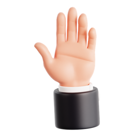 Raised Hand Gesture  3D Icon