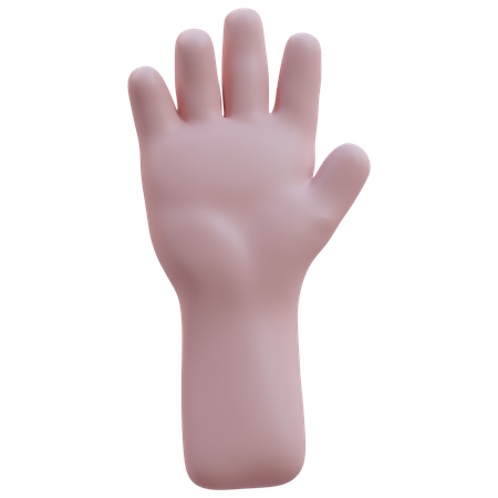 Raises Five Fingers Hand Gesture  3D Icon