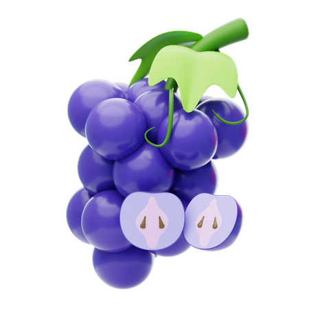 Raisin  3D Icon