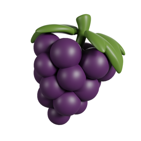 Raisin  3D Icon