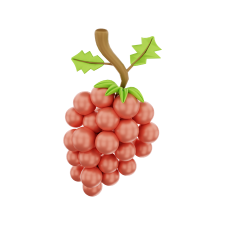 Raisin  3D Illustration