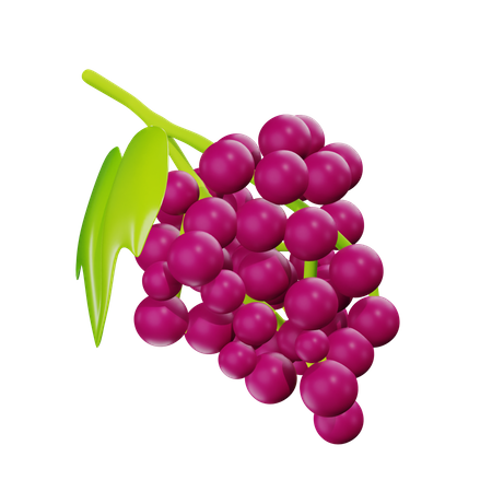 Raisin  3D Icon