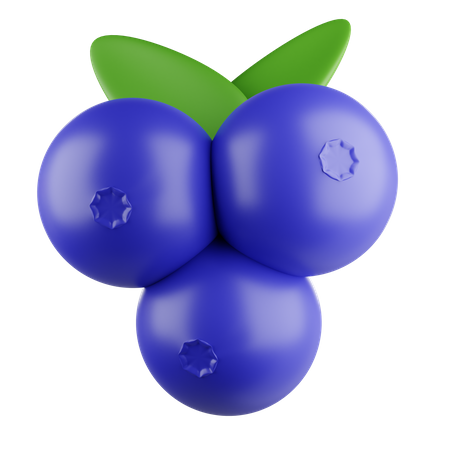 Raisin  3D Icon