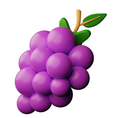 Raisin  3D Icon