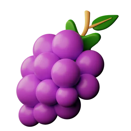 Raisin  3D Icon