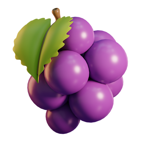 Raisin  3D Icon