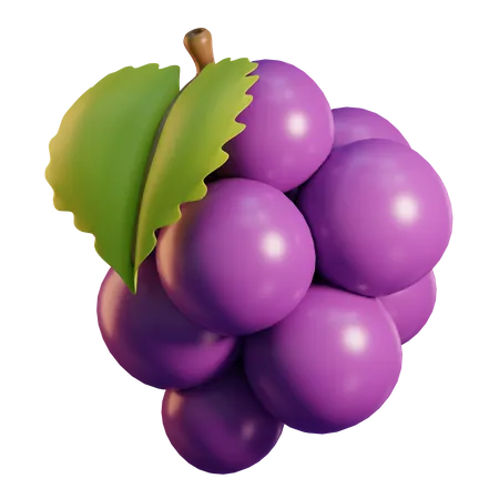 Raisin  3D Icon