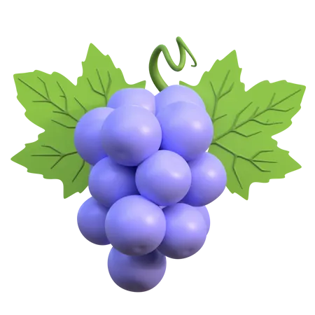 Raisins bleus  3D Icon