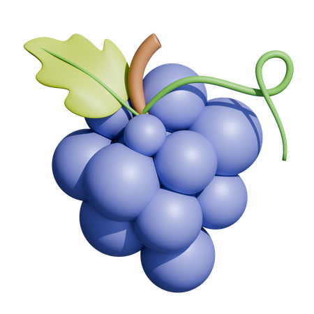 Branche de raisin  3D Icon