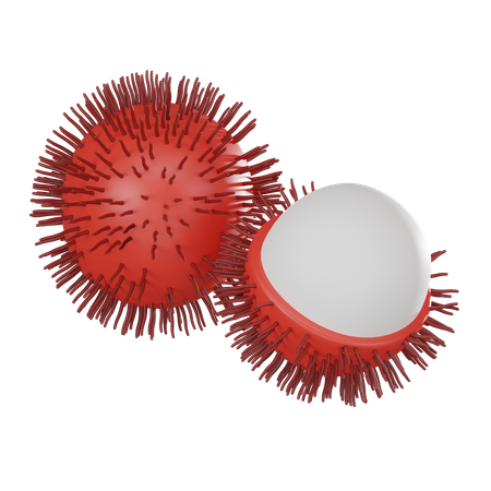 Rambutan  3D Icon