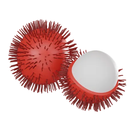 Rambutan  3D Icon