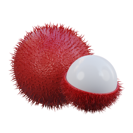 Rambutan  3D Icon