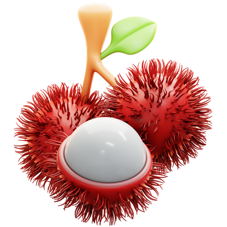 Rambutan  3D Icon