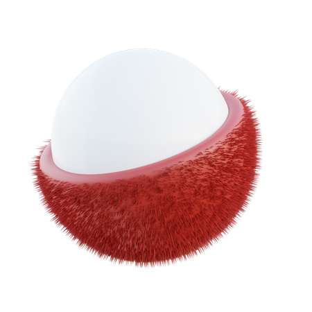 Rambutan  3D Icon