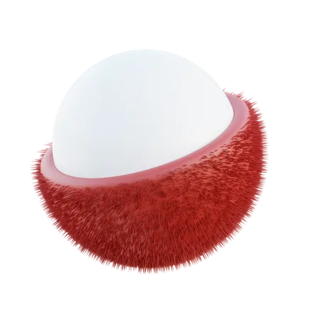 Rambutan  3D Icon