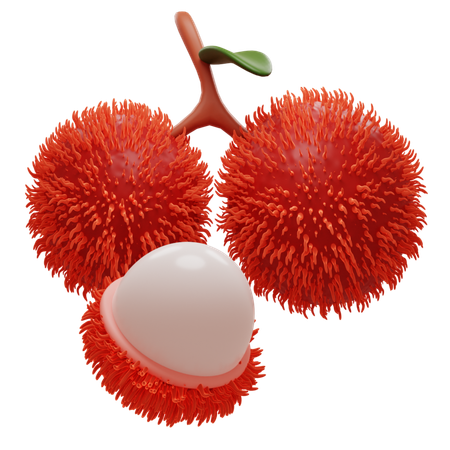 Rambutan  3D Icon