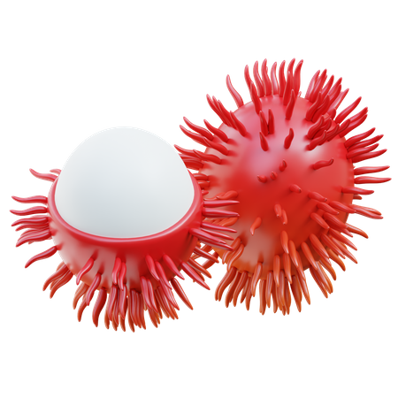 Rambutan  3D Icon