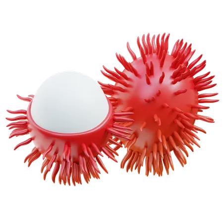 Rambutan  3D Icon