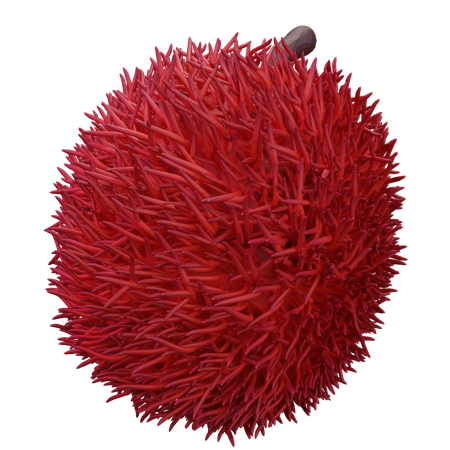 Rambutan  3D Icon