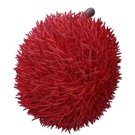 Rambutan  3D Icon