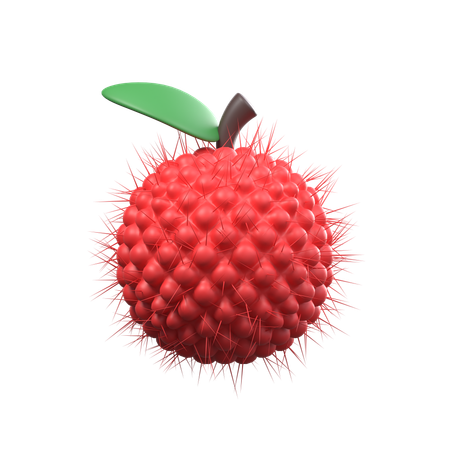 Rambutan  3D Icon