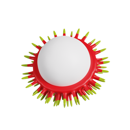 Rambutan  3D Icon