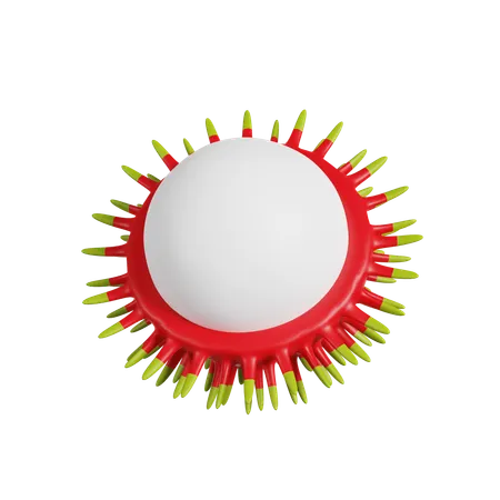 Rambutan  3D Icon