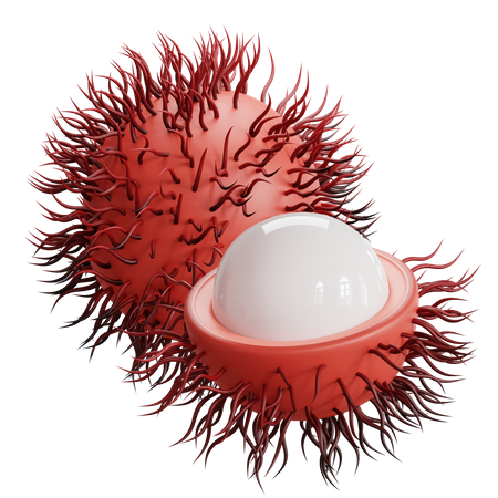 Rambutan  3D Icon