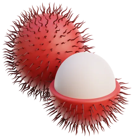 Rambutan  3D Icon