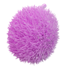 rambutan fruit 3d logo