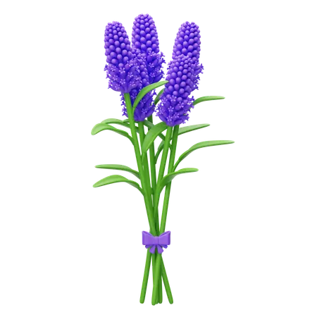 Ramo De Lavanda  3D Icon